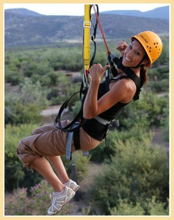 Zip liner_FRAMED.jpg